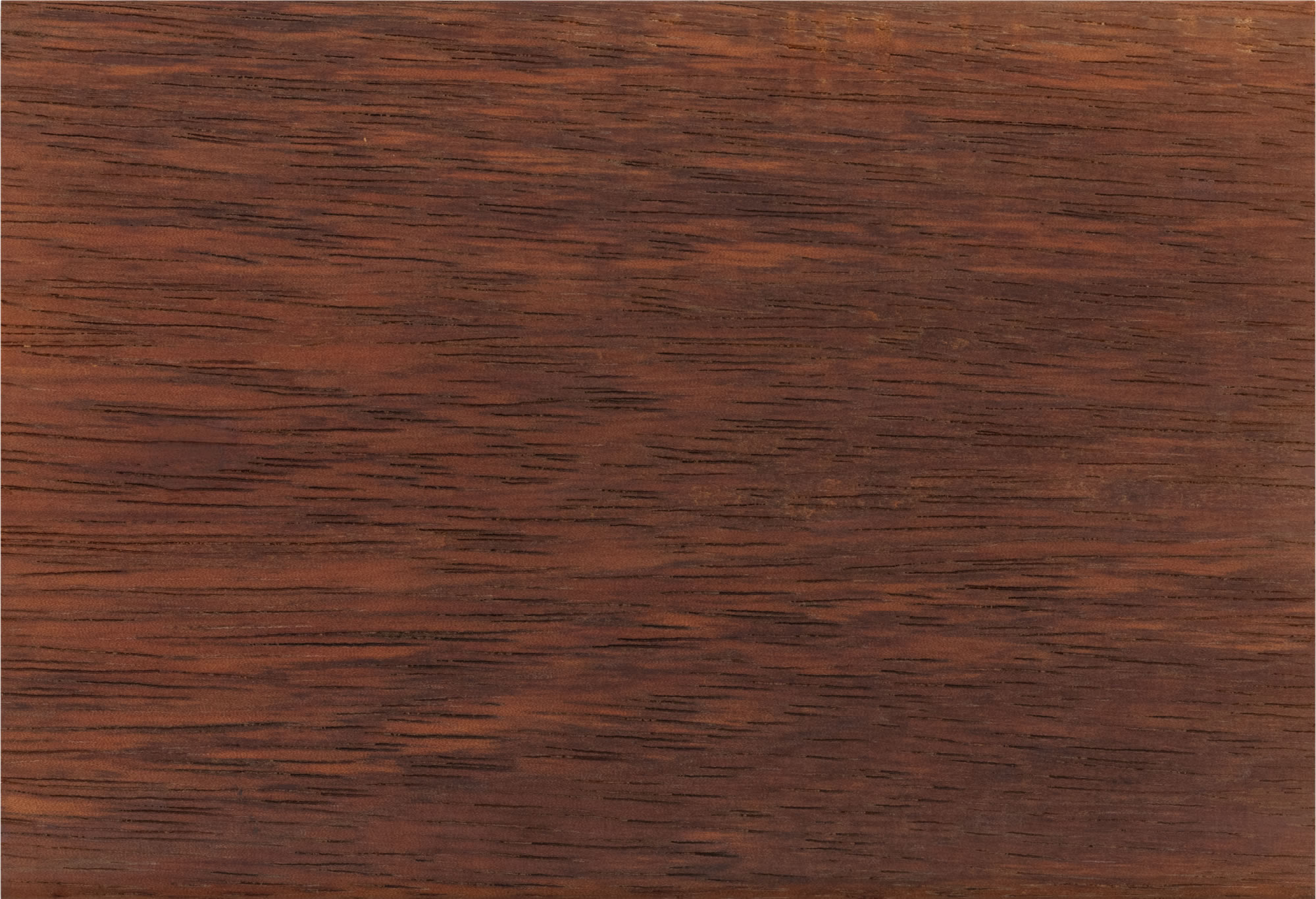 Timber Kwila Merbau, Hardwood CUTEK®, New Zealand